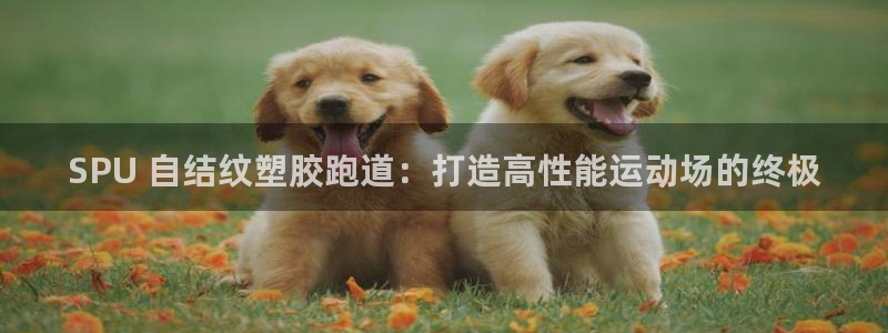 谈球吧-体育赛事：SPU 自结纹塑胶跑道：打造高性能