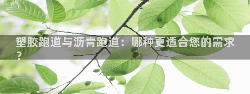 谈球吧是正规平台吗安全吗：塑胶跑道与沥青跑道：哪种更