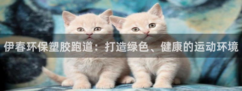 谈球吧买球提现：伊春环保塑胶跑道：打造绿色、健康的运