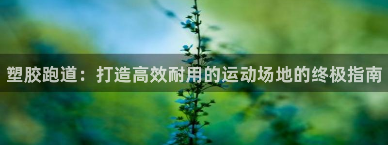 谈球吧是黑台子吗：塑胶跑道：打造高效耐用的运动场地的