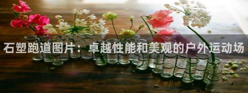 谈球吧属于哪个：石塑跑道图片：卓越性能和美观的户外运动场