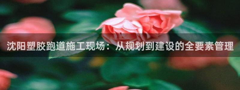 谈球吧官网在线入口手机版下载
