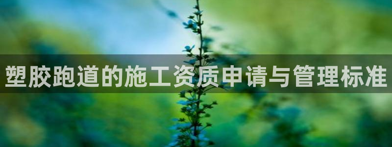 谈球吧官网在线入口手机版免费下载