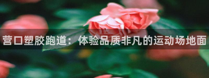 谈球吧体育app登陆：营口塑胶跑道：体验品质非凡的运