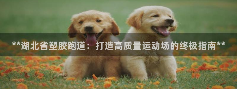 谈球吧官网首页：**湖北省塑胶跑道：打造高质量运动场
