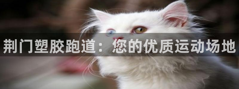 谈球吧app下载ios：荆门塑胶跑道：您的优质运动场