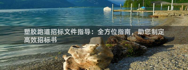 谈球吧怎么充值：塑胶跑道招标文件指导：全方位指南，助