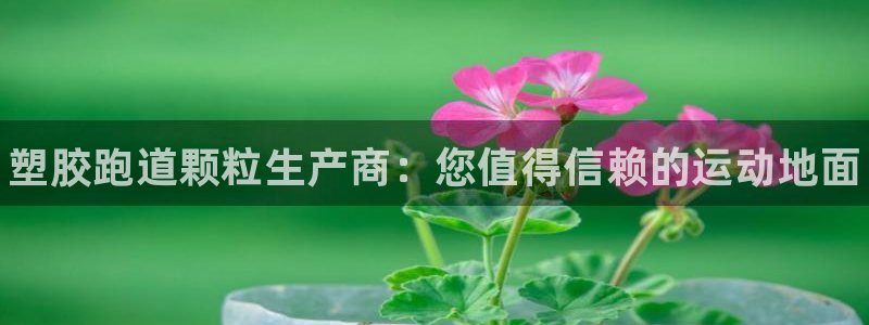 谈球吧体育app登陆：塑胶跑道颗粒生产商：您值得信赖的运动地