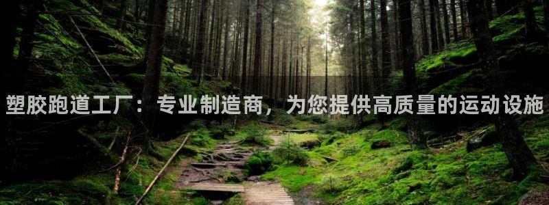 谈球吧咋样黑钱：塑胶跑道工厂：专业制造商，为您提供高质量的运