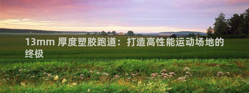 谈球吧体育app下载中心官网苹果：13mm 厚度塑胶跑道：打