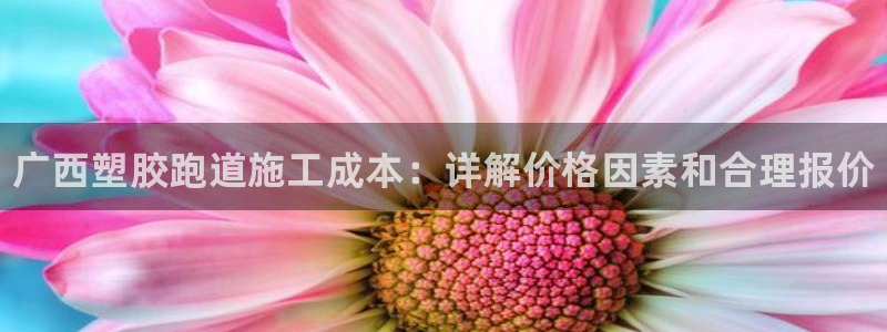 谈球吧平台：广西塑胶跑道施工成本：详解价格因素和合理报价