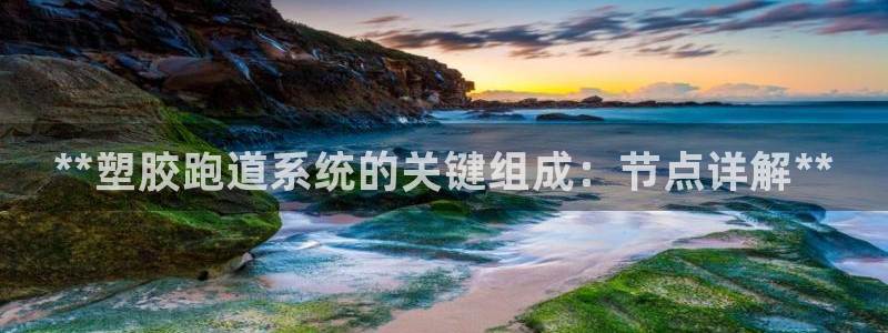 谈球吧官网在线入口免费观看视频网站：**塑胶跑道系统