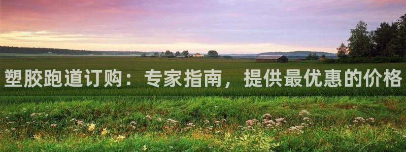 谈球吧app官网下载：塑胶跑道订购：专家指南，提供最