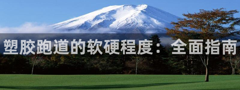 谈球吧官网在线入口免费观看视频下载：塑胶跑道的软硬程度：全面指南