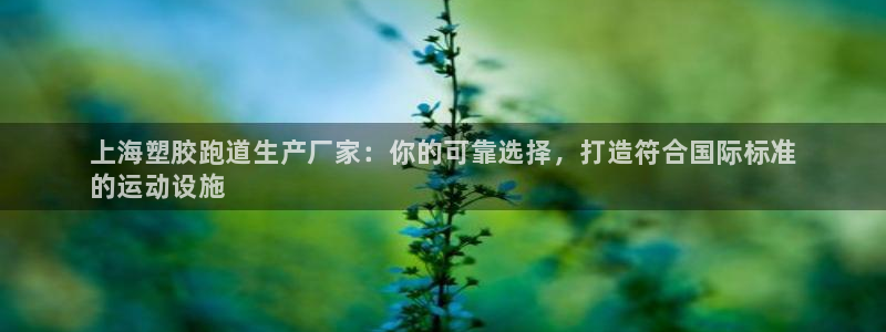 谈球吧平台app：上海塑胶跑道生产厂家：你的可靠选择