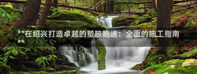 谈球吧言网入口：**在绍兴打造卓越的塑胶跑道：全面的