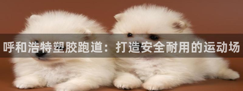 谈球吧App：呼和浩特塑胶跑道：打造安全耐用的运动场