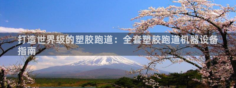 谈球吧买球是正规的吗：打造世界级的塑胶跑道：全套塑胶