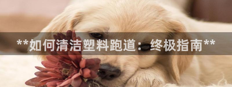 谈球吧app官网：**如何清洁塑料跑道：终极指南**