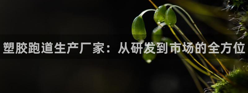 谈球吧是黑台子吗还是白台子好：塑胶跑道生产厂家：从研