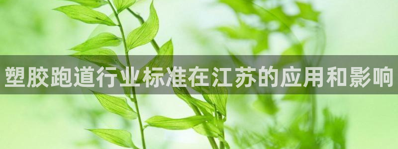 谈球吧体育app下载官网手机版：塑胶跑道行业标准在江