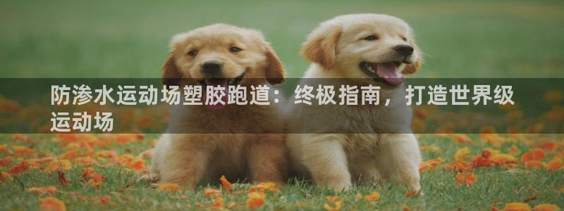 谈球吧官网app：防渗水运动场塑胶跑道：终极指南，打
