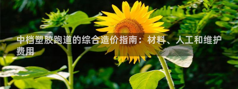 谈球吧体育app下载足球比赛：中档塑胶跑道的综合造价指南：材