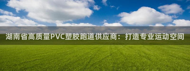 谈球吧综合官网app：湖南省高质量PVC塑胶跑道供应商：打造专业运动空间