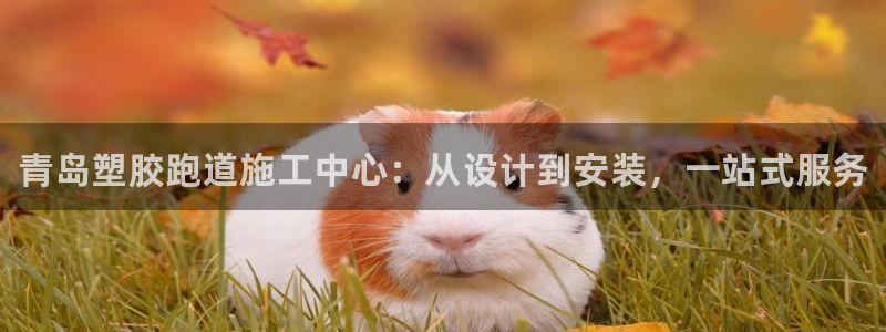 谈球吧体育app下载中心：青岛塑胶跑道施工中心：从设计到安装